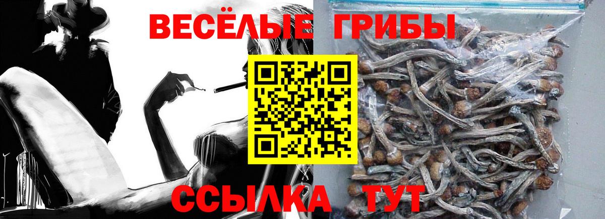 сколько стоит  Вход с VPN  Димитровград  Галлюциногенные грибы мухоморы 