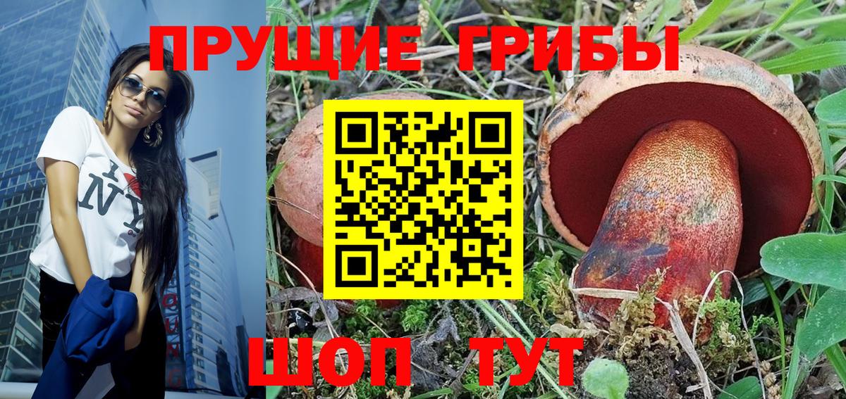 Галлюциногенные грибы Psilocybine cubensis Димитровград